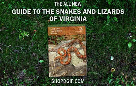 Maybe you would like to learn more about one of these? Virginia Department of Game and Inland Fisheries
