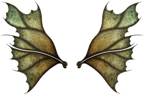 Realistic Fairy Wings Png Free Download Png Arts