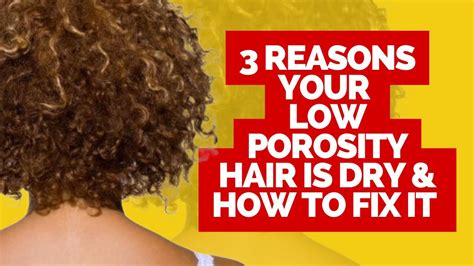 3 Reasons Your Low Porosity Hair Is So Dry And How To Fix It Low