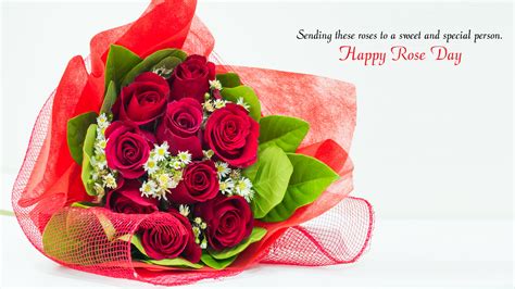 With a bunch of red roses, we can express our undying love for your sweetheart and can make him/her feel special. 7th Feb Rose Day Wallpaper HD | All Color of Roses for Lover & Friends