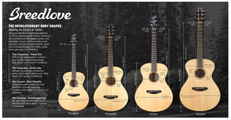 Acoustic Guitar Body Shapes The Breedlove Way
