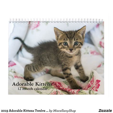 2021 Adorable Kittens Twelve Month Cat Calendar Kittens