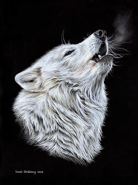 White Wolf Painting By Sarah Stribbling Pixels