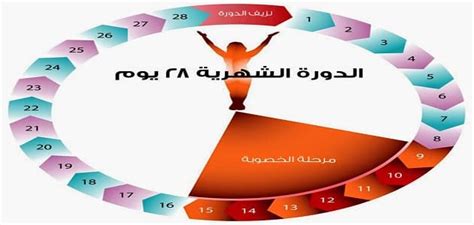 واختبار الإباضة clearblue digital يسهل من معرفة تاريخ الدورة لدي حتى أتمكن من تحقيق أقصى استفادة من الأيام الأكثر خصوبة كل في كل دورة يكون هناك القليل من الأيام التي يمكن أن تحمل فيها المرأة، لذلك فإن ممارسة العلاقة الحميمة في هذه الأيام يكون مهمًا للغاية. متى يحدث التبويض , عايزة اعرف ايام التبويض اعرف ازاي ...