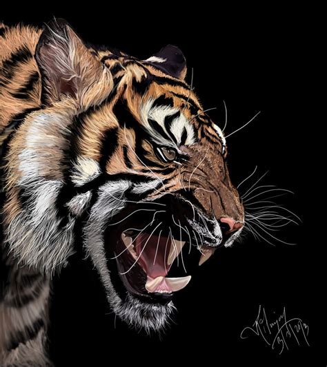 Tiger Digital Painting By Xavio Design On Deviantart Tiger Art Tiger
