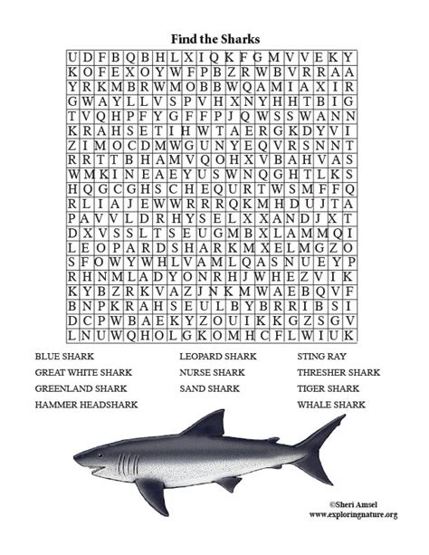 Shark Word Search Adults