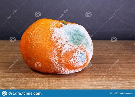Rotten And Moldy Orange Stock Image Image Of Diet Orange 126633303