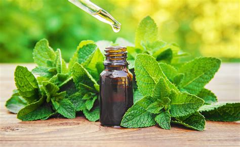 Benefits Of Peppermint Essential Oil For Skin Care And Health I How To