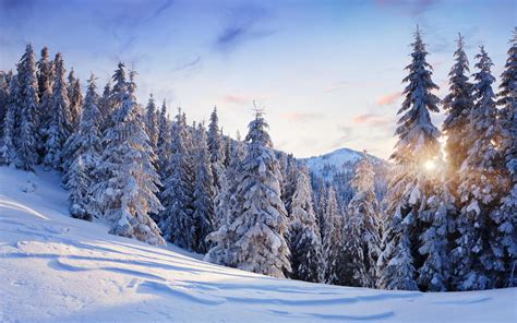 Hd Nature Landscapes Trees Forest Mountains Winter Snow Seasons Sun Sunlight Sky Clouds White