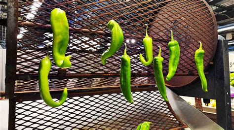 Hatch Chile Seasons Recipes Uses Butter N Thyme