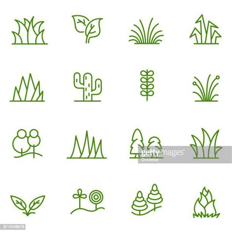 Grasses Icon Photos And Premium High Res Pictures Getty Images
