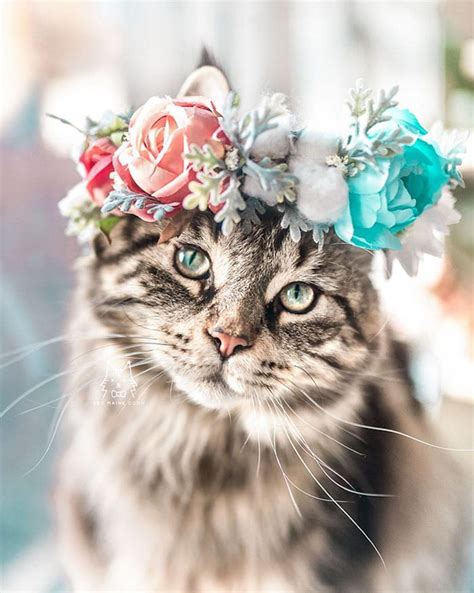 Interview Artist Designs Custom Flower Crowns For Your Pets
