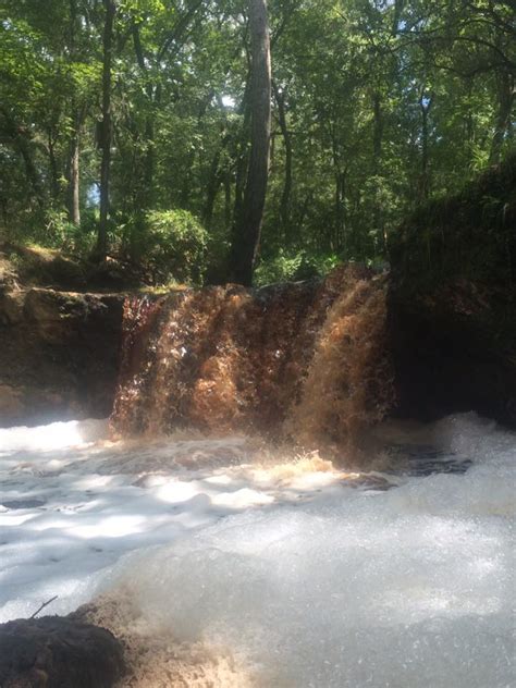 One Of The Few Fl Waterfalls Falling Creek Falls In Lake City Rflorida