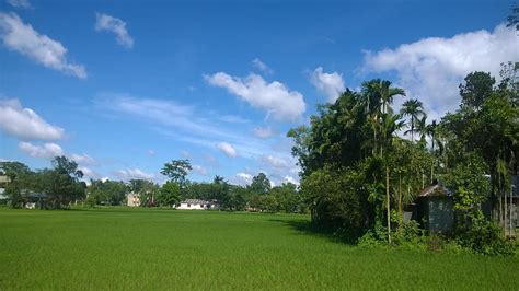 Hd Wallpaper Nature Village Purbodhala Bangladesh Plant Tree Sky
