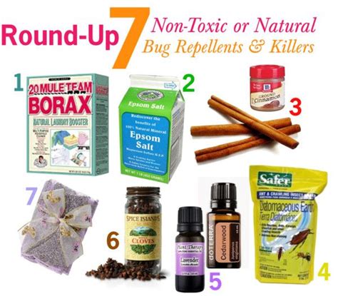 But you don't have to! The Lovely Side: 7 Non-Toxic or Natural Bug Repellents ...