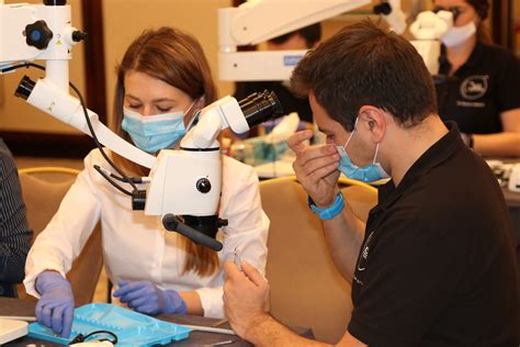 Curs Retratament Endodontic 2025 - RCC Endodontics
