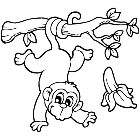 Mewarnai Gambar Monyet Lucu Tips Dan Tutorial