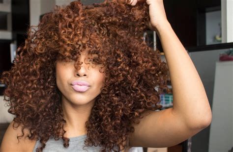 13 Dark And Lovely Honey Blonde On Natural Hair New Natural Hairstyles