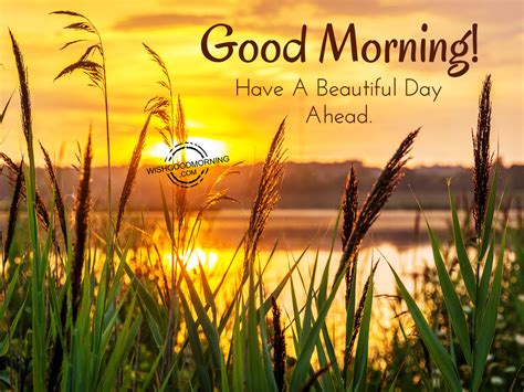 Have A Beautiful Day Ahead - Good Morning Pictures – WishGoodMorning.com