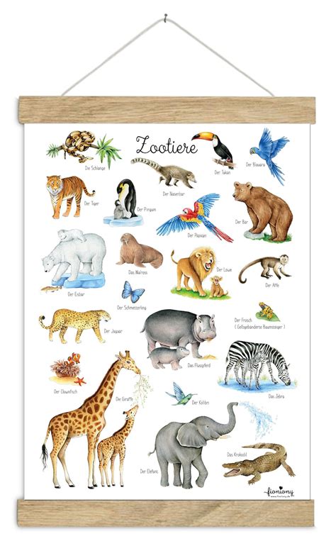 Animals Poster