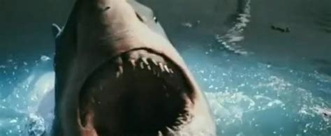 Hey guys im back finally and today im reviewing a movie called bait shop. The Cinema File #160: "Bait 3D" Review