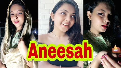 Aneesah Tik Tok Part 3 Indian Beautiful Girl Romantic Musically 2019 Haven Entertainment