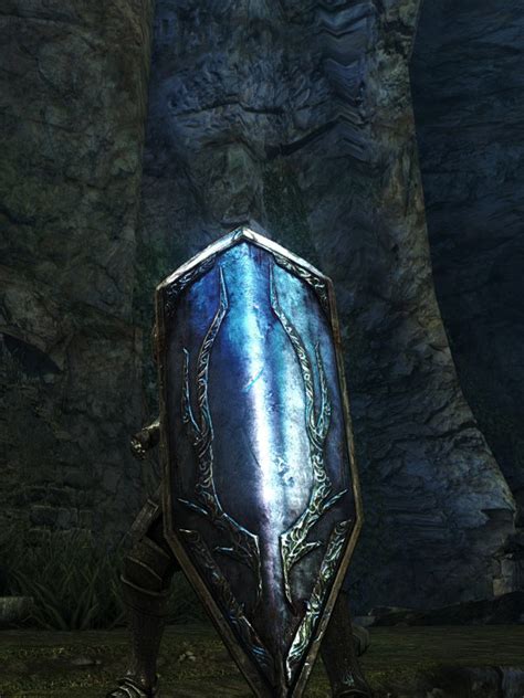 Giant Shield Dark Souls Wiki