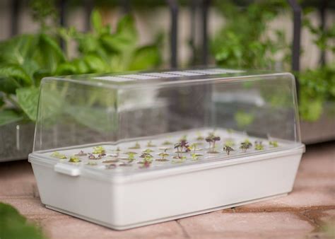 Some plants need colder weather to grow and will need to be planted later in the year. Ikea introduce a hydroponic indoor gardening kit ...