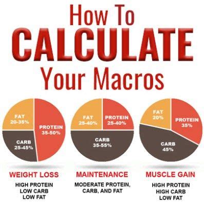 Gender, age, height, and weight. Everything You Need to Know About Macros | Macros diet, No ...