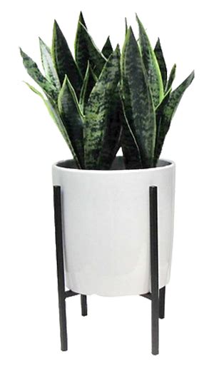 Artificial Plant in Stand Large - Threshold™ | Artificial ...
