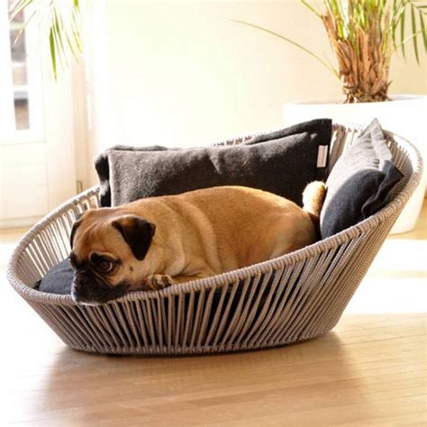 Buying Fancy Dog Beds Dog Bandanas