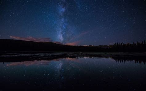 Wallpaper Night Forest Lake Stars Milky Way Reflection Desktop