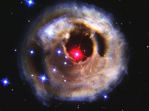 What Are Red Supergiants Biggest Stars In Universe By Volume