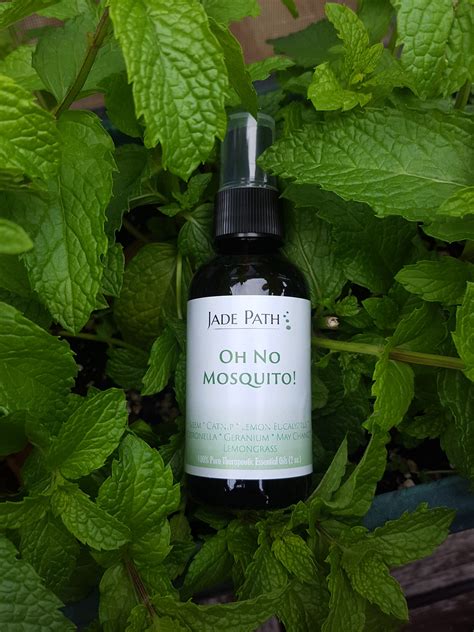 Oh No Mosquito Essential Oil Mosquito Repellent Spray Jade Path