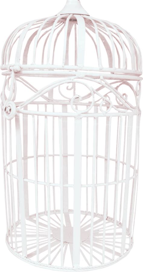 Cage Bird Png