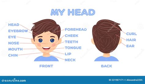 My Face Parts And Pretty Cartoon Boy Front And Back View Head