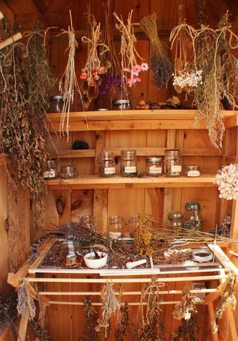 Herborist Cabinet Drying Herbs Herbalism Herbs