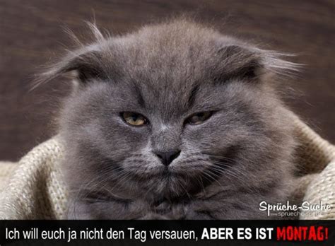 Es ist spielend einfach, die nachrichten von freunden, fremden oder dem einstellungen → whatsapp web. Ich will euch ja nicht den Tag versauen, aber es ist ...