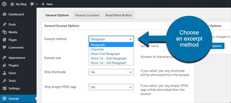 How to Auto Create a Custom WordPress Excerpt for Posts - GreenGeeks