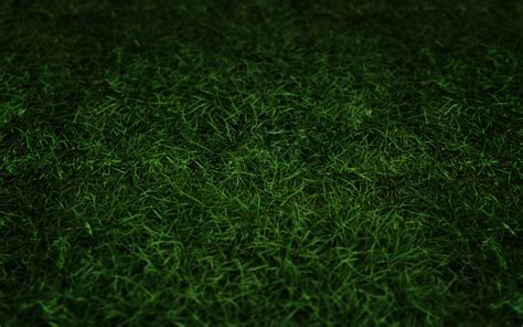 Green Grass Wallpapers Hd Desktop And Mobile Backgrounds