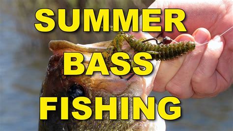 Summer Bass Fishing Techniques and Tips | Bass Fishing - YouTube