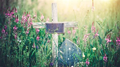 Traditional burial is arguably worse from an environmental perspective: 7 Eco-Friendly Options for Your Body After Death | Mental ...