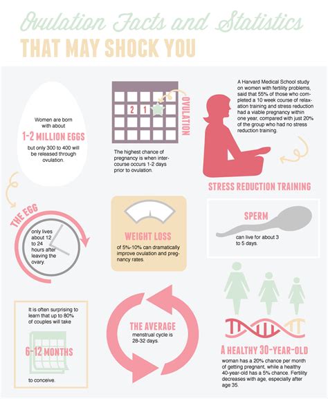 Ovulation Facts And Statisticsthat May Shock You Fertility Store