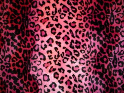 Pink Leopard Desktop Wallpaper