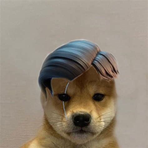 Midas Fortnite Dog Meme 👊 Cães Fofos Cachorro Animais