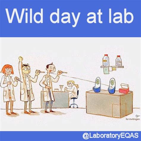 In english, we have lots of creative and colourful ways of saying that someone is not very smart! Pipette competition Wild day at lab | Clinical Laboratory ...