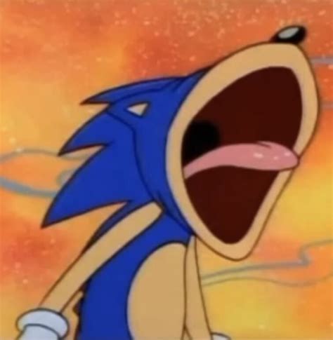Cursed Sonic Images Fandom