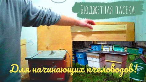 ВСЁ ДЛЯ НАЧИНАЮЩИХ ПЧЕЛОВОДОВ! БЮДЖЕТНАЯ ПАСЕКА ПО ПРОСТОМУ О ...