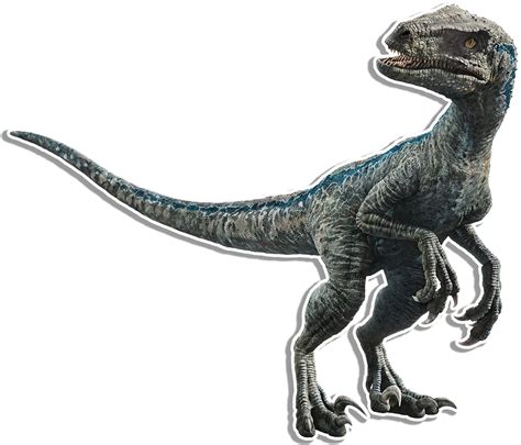 Velociraptor Png 10 Free Cliparts Download Images On Clipground 2023