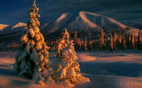 Sunrise Nature Winter Mountain Forest Trees Wallpaper 168708